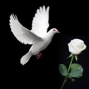 Ridla Armina profile icon