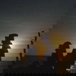 Nafa Sya profile icon