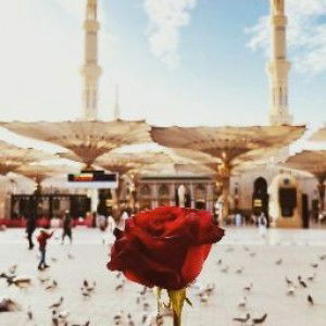 Tiwi Pratiwi profile icon