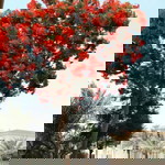 My Chloe profile icon