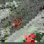 Sri Khisna profile icon