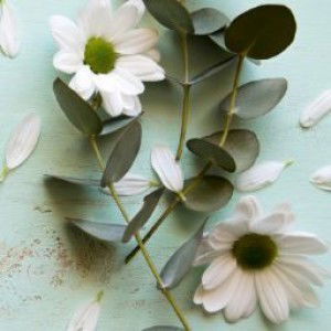 Nabilah Syahirah profile icon