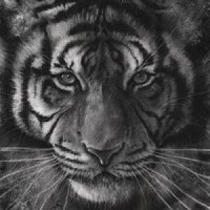 arcel Mijares profile icon