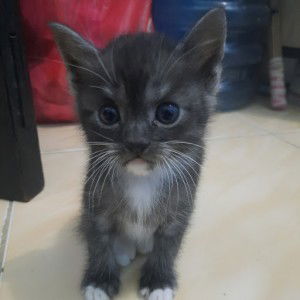 Tipsi Channel profile icon