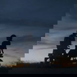 Crisanta profile icon