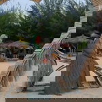 Rosita Kamariya profile icon