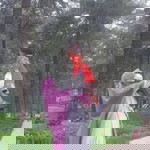 Linda Ar-Romly profile icon