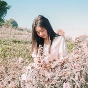 Supitcha Nice profile icon