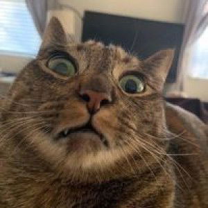 เนตรนดา หวังพิทักษ์ profile icon