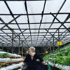 Ayu Siantim profile icon