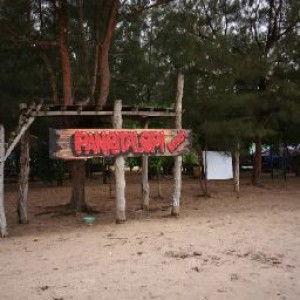 Nur 'Aini profile icon