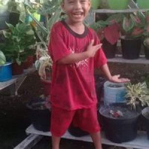 Muhammad Syukri Usman profile icon