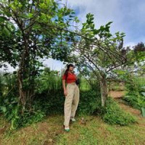 Nuttida Sukrekant profile icon