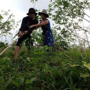 Jessa Enmanuel Cabuguas profile icon