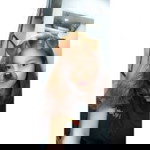 Putri Eriska profile icon