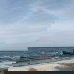 Salsabell profile icon