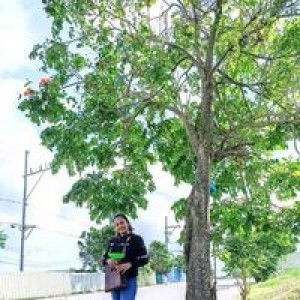 Honey Cos Alicando profile icon