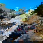 Jacquelyn Enjambre profile icon