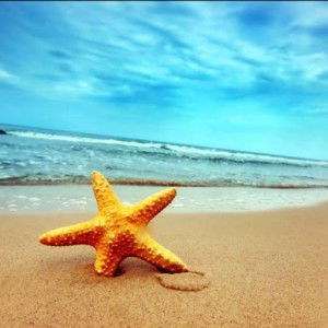 Sobariyah Sa'tae profile icon