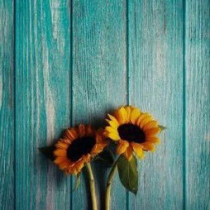 Siti Himdun profile icon