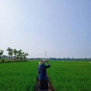 Mozang Gaok profile icon