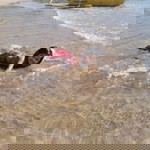 Eriziel Teodoro profile icon