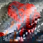 Pla Makmas profile icon