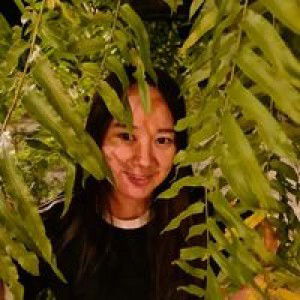 Darapan Pangsao profile icon