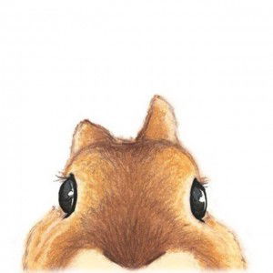 Andi Aira profile icon