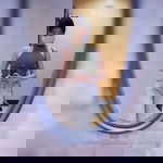 Tass Tas profile icon