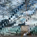 nur nur profile icon