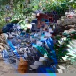 Rose Ann Abuid profile icon