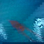 Boommerrang Patpapong profile icon