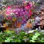 Katrina Delacruz profile icon