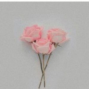 Eliza Ramadani profile icon