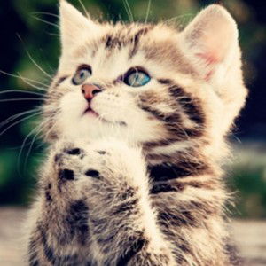 Dr Jekyll profile icon