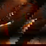 Tô Anh profile icon