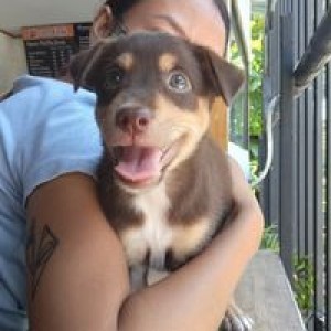 Kate Jovelyn Perater Jamolod