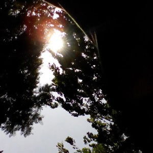 Amirah Haziqah profile icon