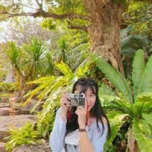 Orange Sun profile icon