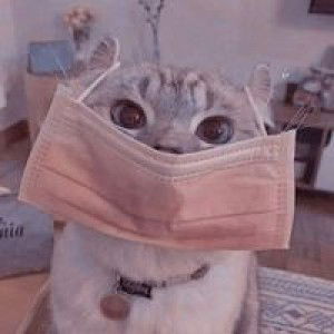 Supranee Sochoke profile icon