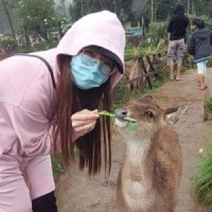 Gremcya Rossa Tambunan profile icon