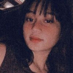 Aly Sison profile icon