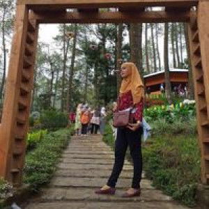 Fitri Handayani profile icon