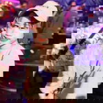 Wiwarat Singam profile icon