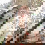 Jayvee Abelgas profile icon