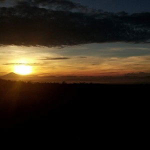 fahmanisa nur fitri atina profile icon