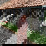 Debrina Dwi Wibawa profile icon