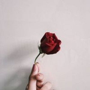 Nurraihah profile icon