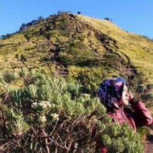 Diah Arumsari profile icon